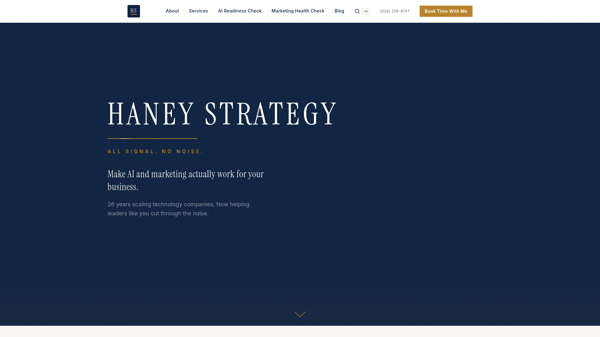 website screenshot of https://haneystrategy.com/