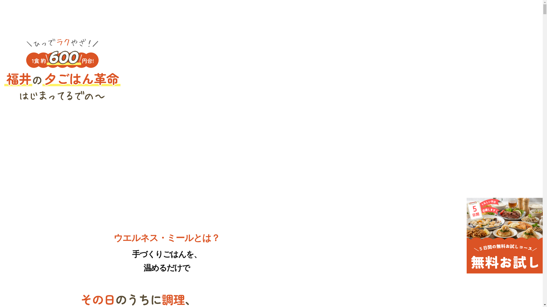 website screenshot of https://wellnessmeal-fukui.com/