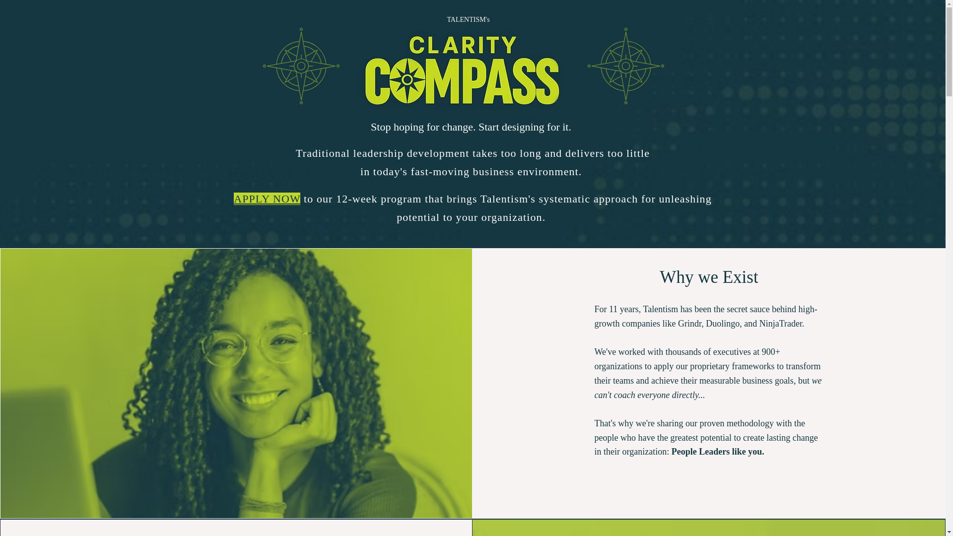website screenshot of https://talentismclaritycompass.com/