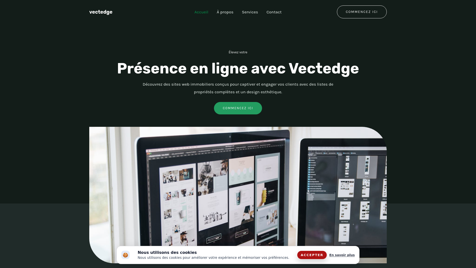 website screenshot of https://vectedge.company