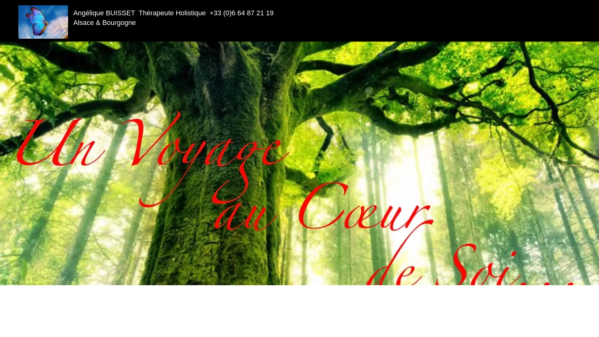 website screenshot of https://angeliquebuisset.fr/