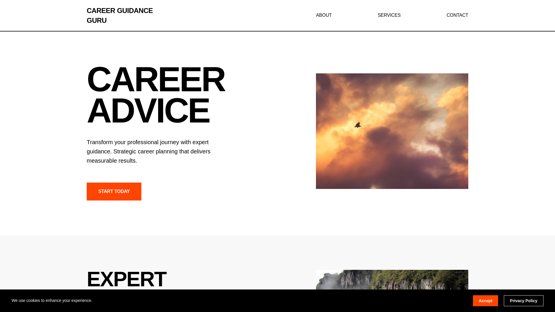 website screenshot of https://careerguidanceguru.sbs/
