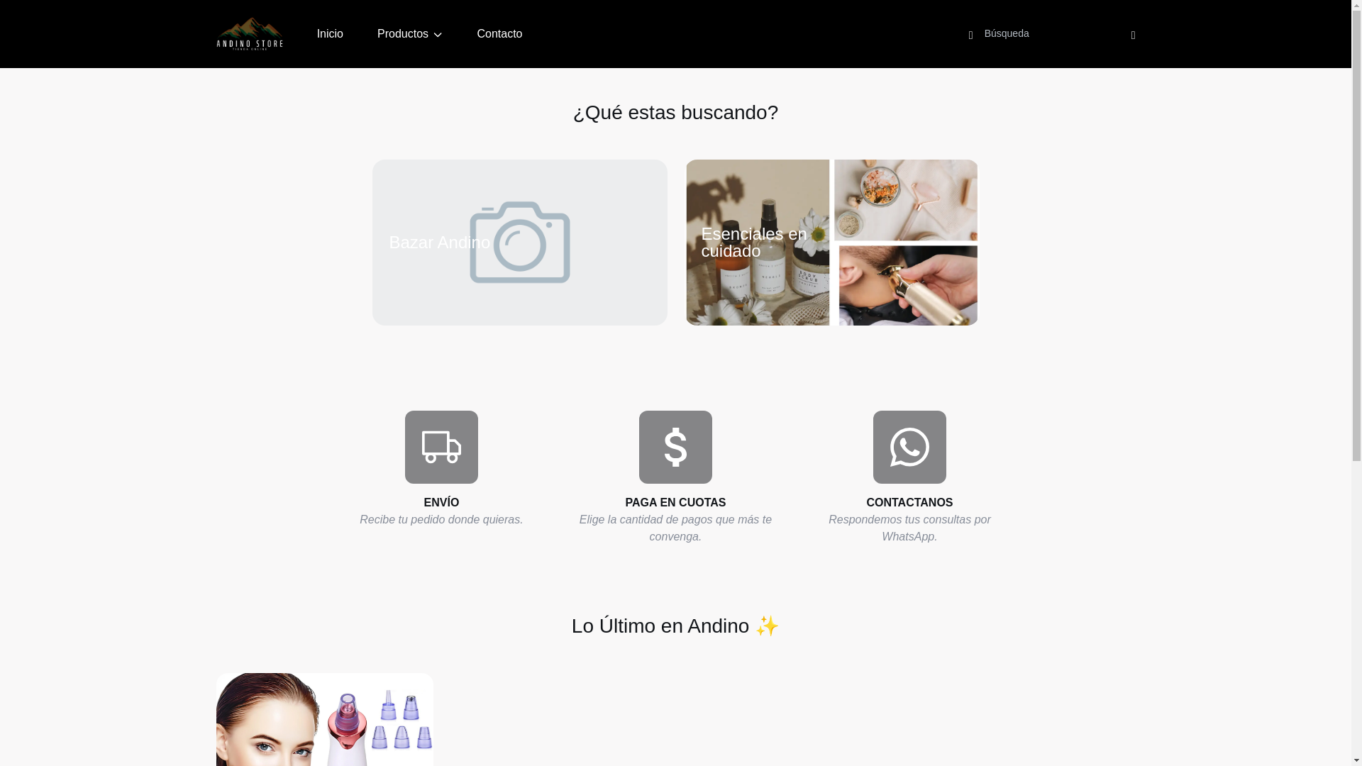 website screenshot of https://andinostore.site/