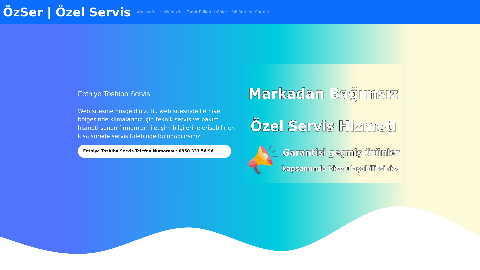 website screenshot of https://fethiyetoshibaservis.com.tr/