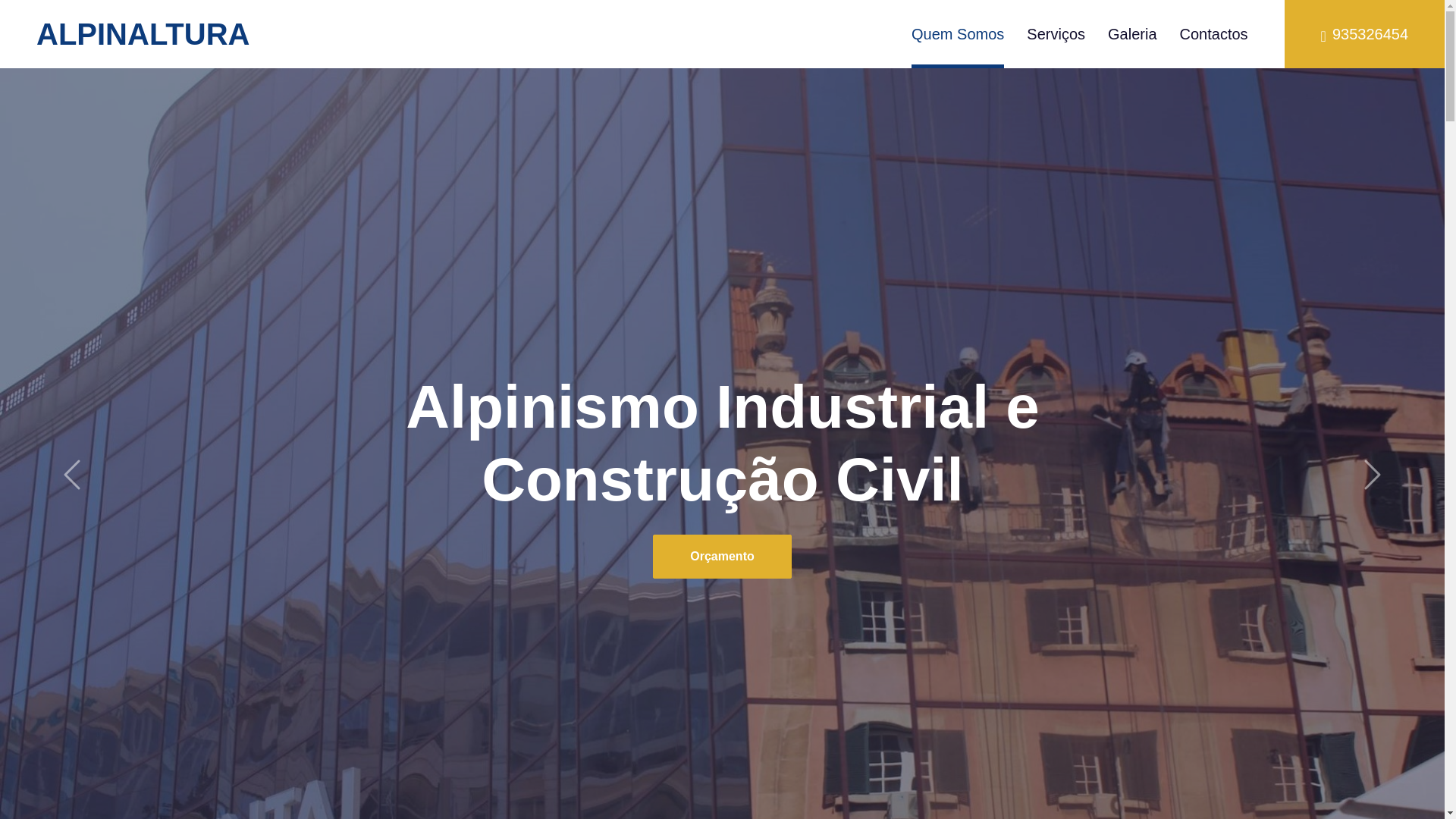 website screenshot of https://alpinaltura.com/