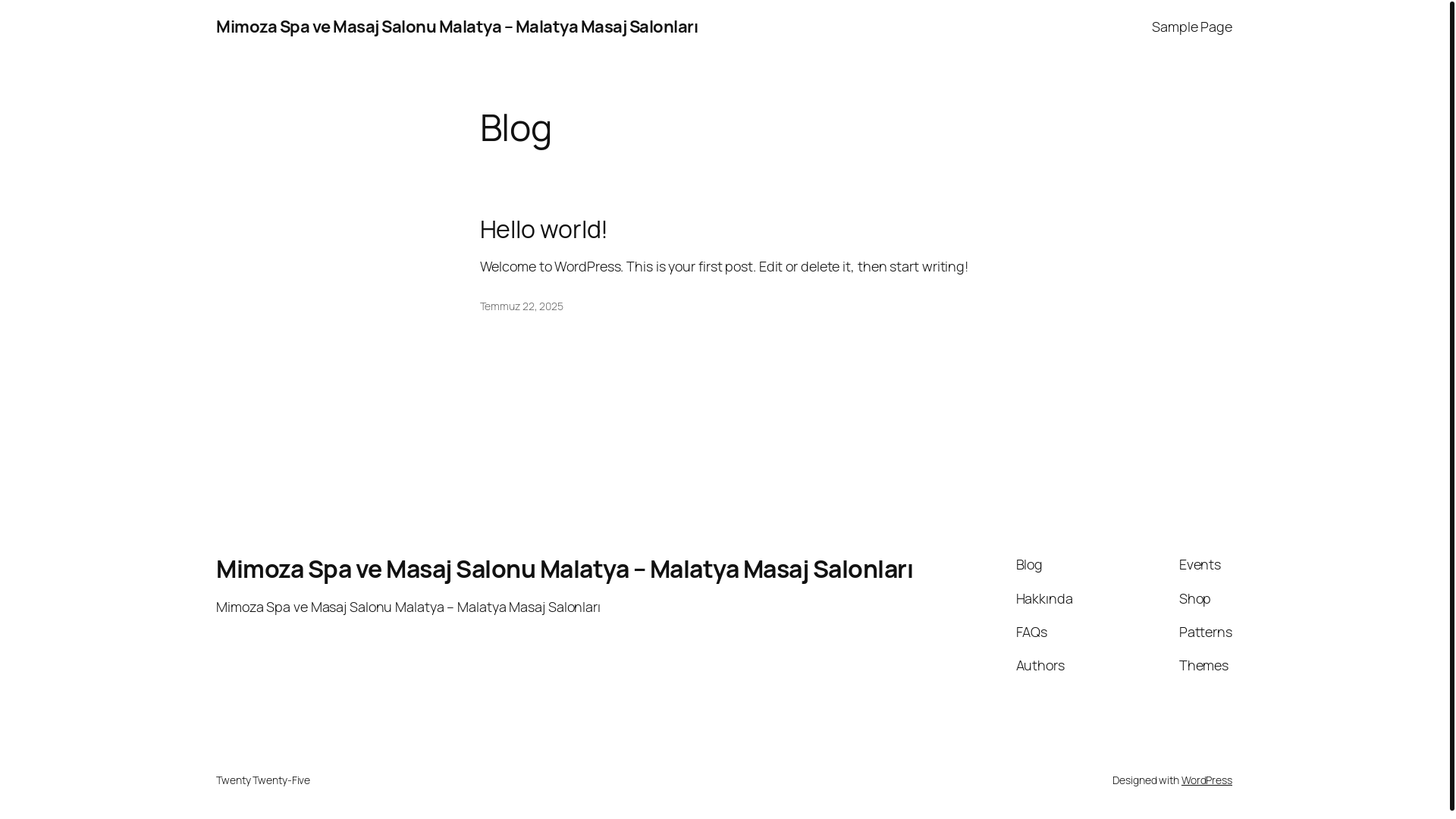 website screenshot of https://mimozaspamalatya.com/
