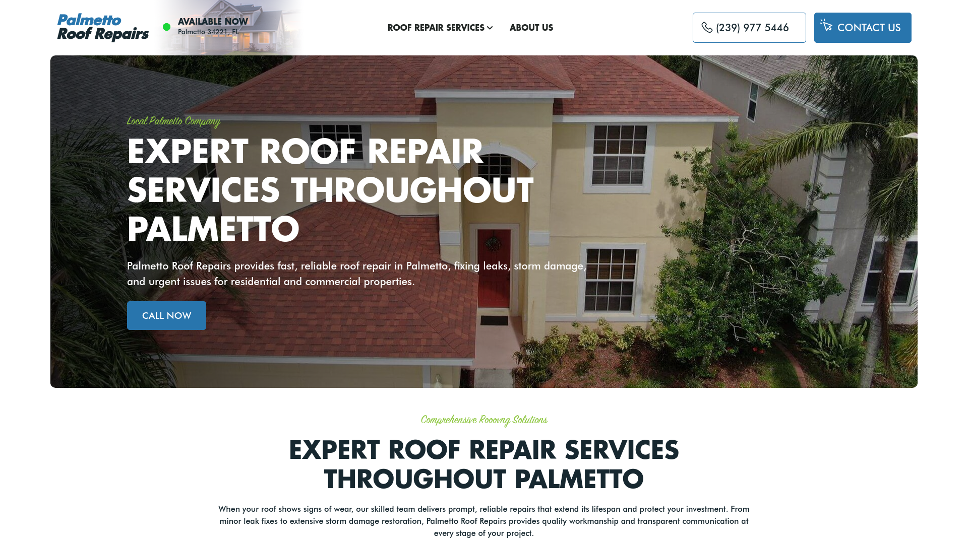 website screenshot of https://palmettoroofrepairs.com