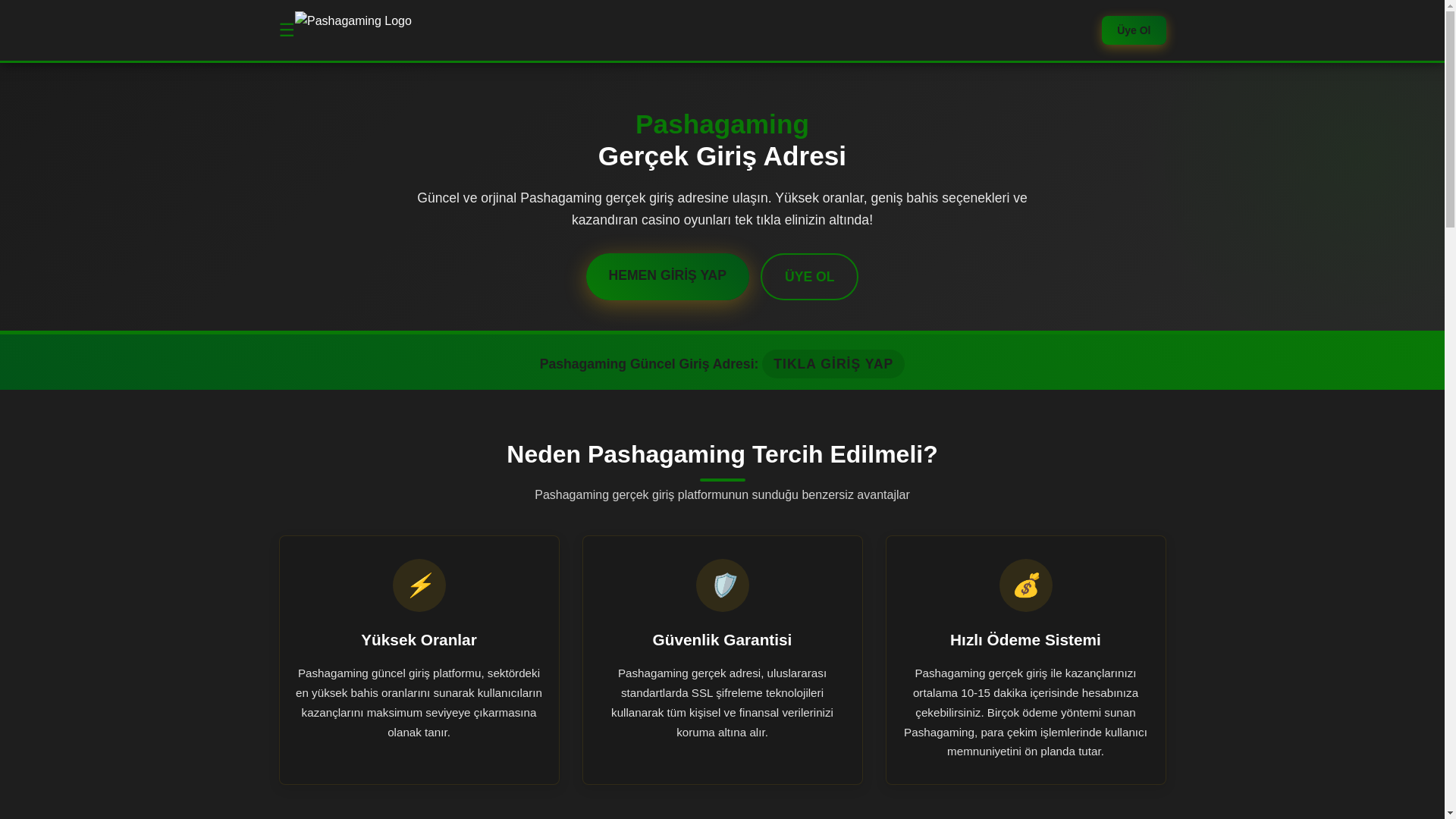 website screenshot of https://pashagaminng.info/
