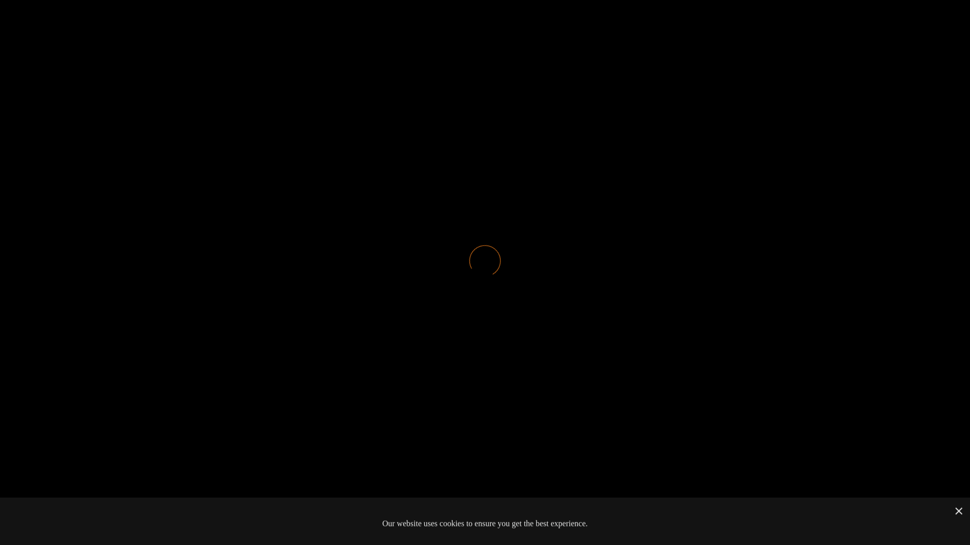 website screenshot of https://duckit.services/