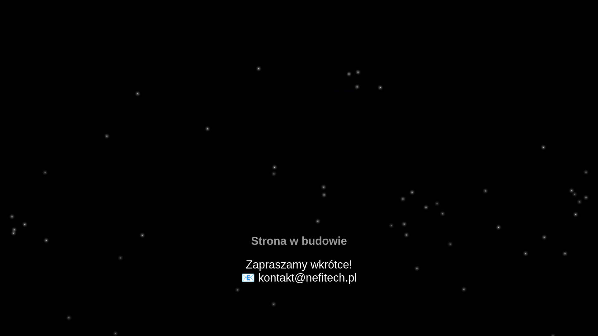 website screenshot of https://nefitech.pl