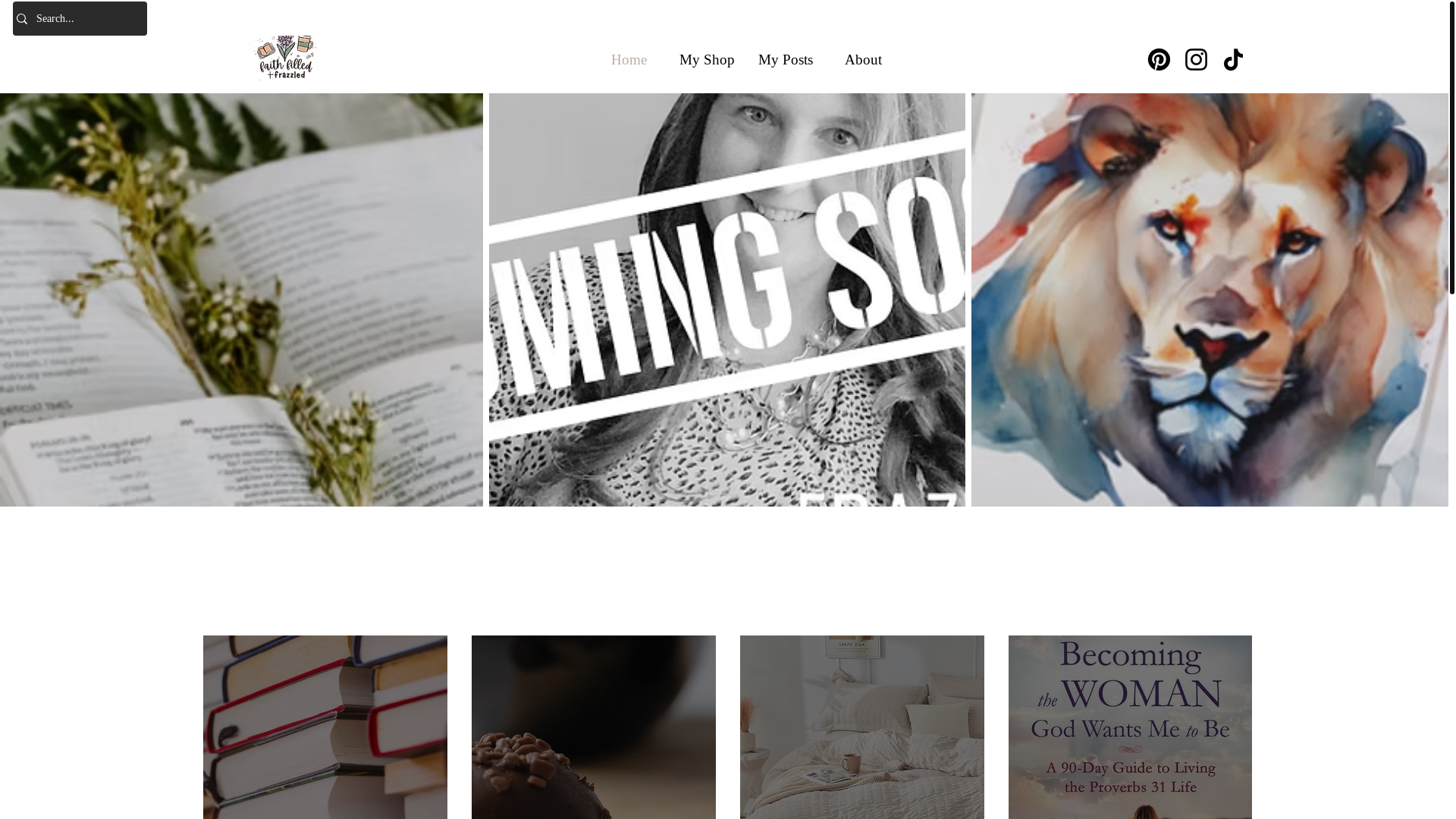 website screenshot of https://faithfilledandfrazzled.com/