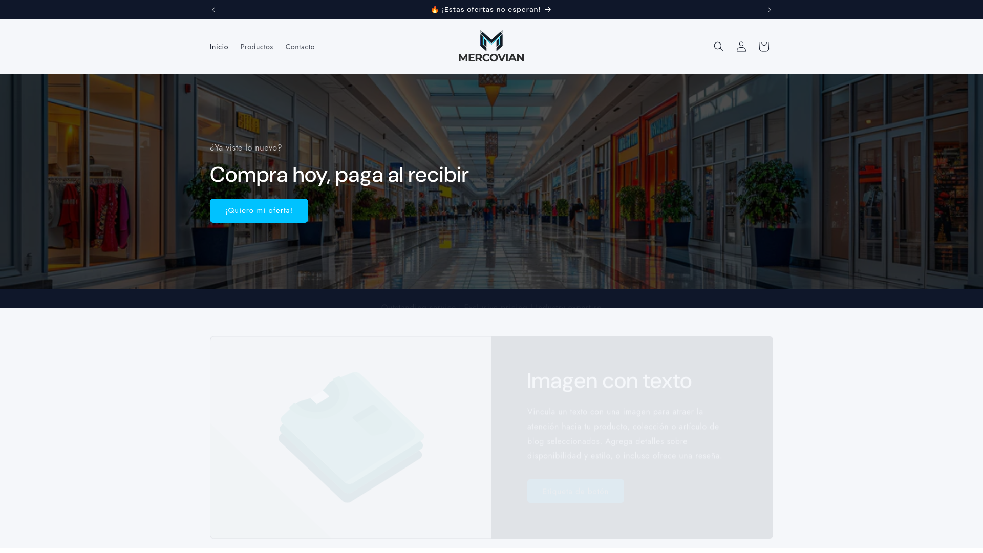 website screenshot of https://mercovian.com/