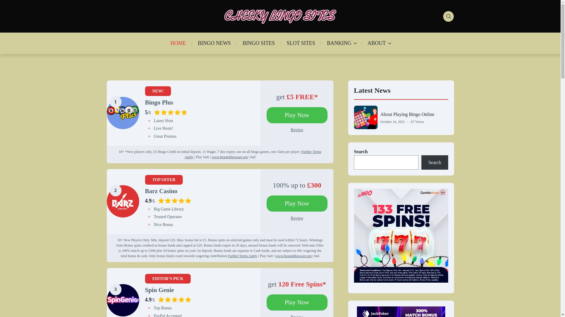 website screenshot of https://cheekybingosites.co.uk/