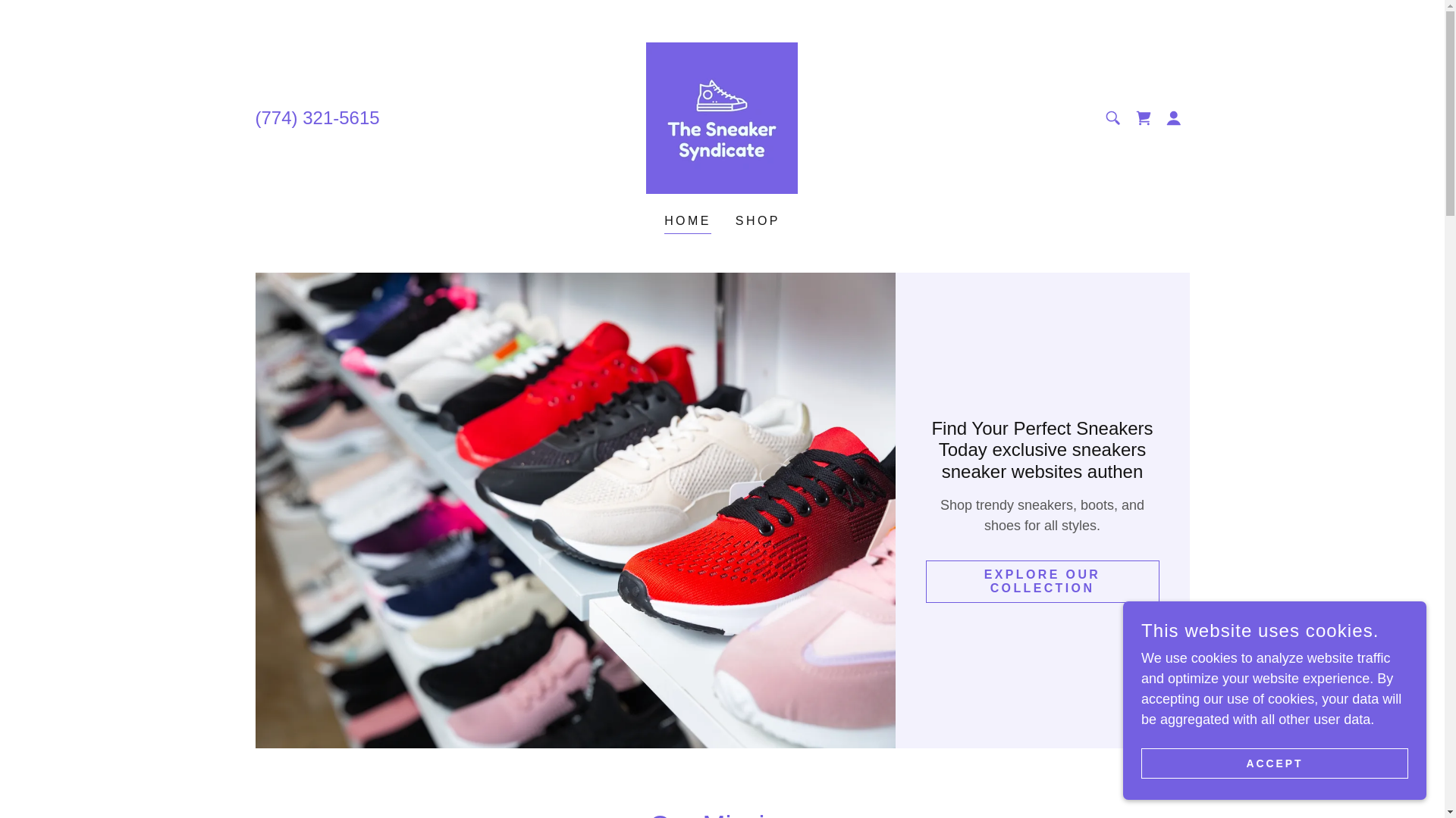 website screenshot of https://thesneakerssyndicate.com/