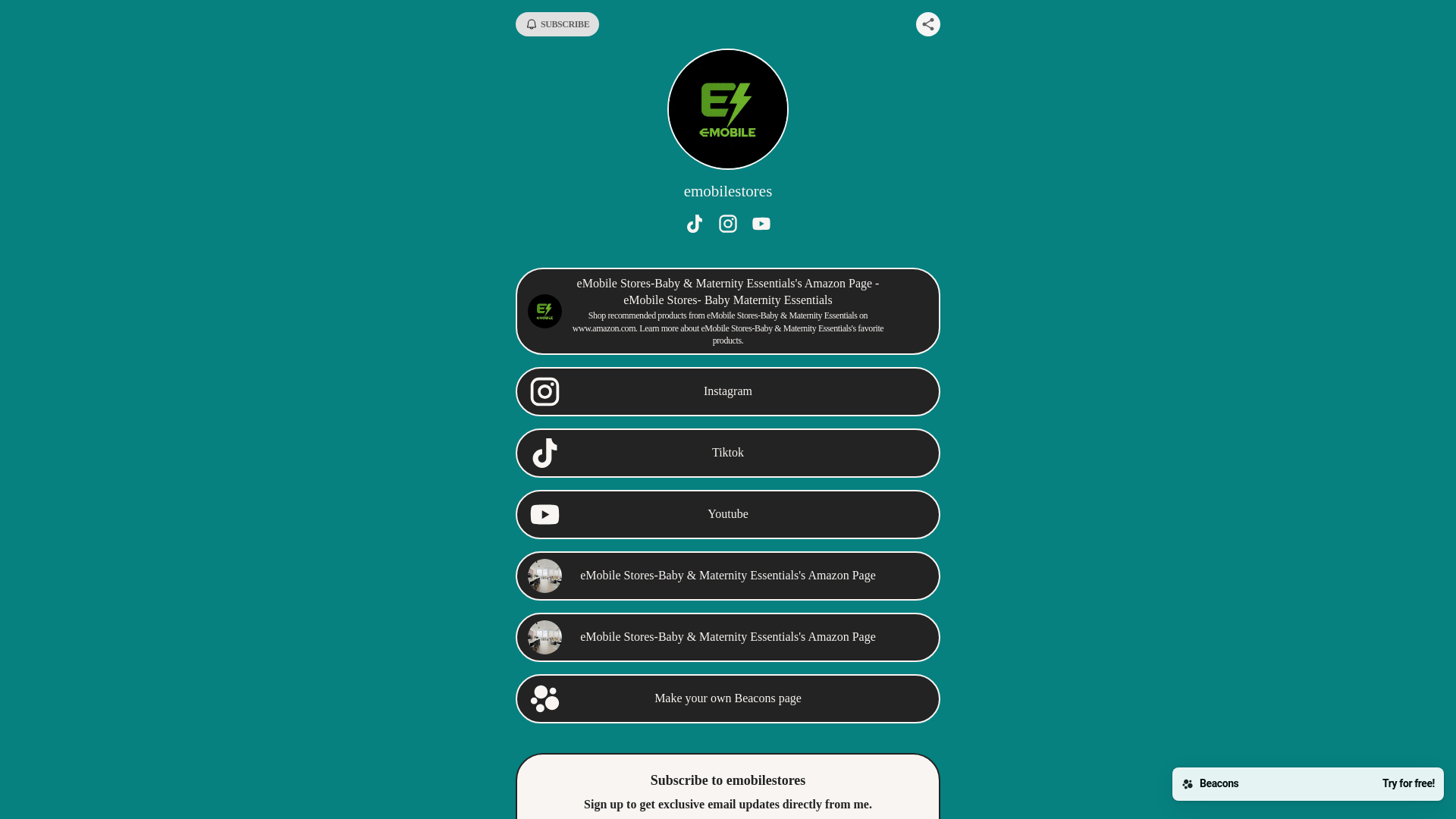 website screenshot of https://emobilestores.store/