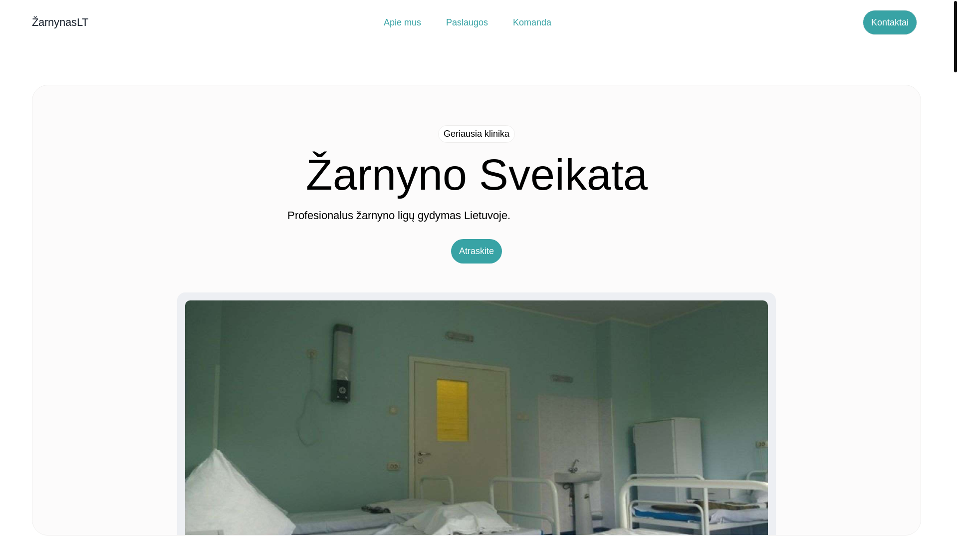 website screenshot of https://ltarafatu.site/