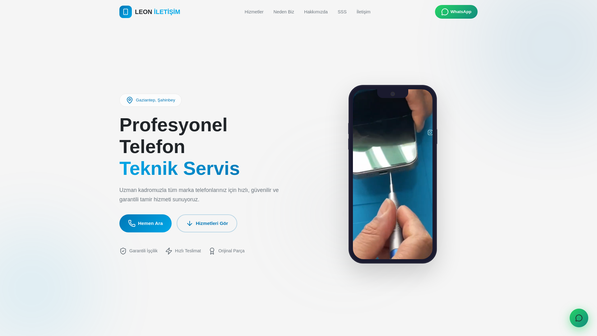 website screenshot of https://leoniletisim.com/