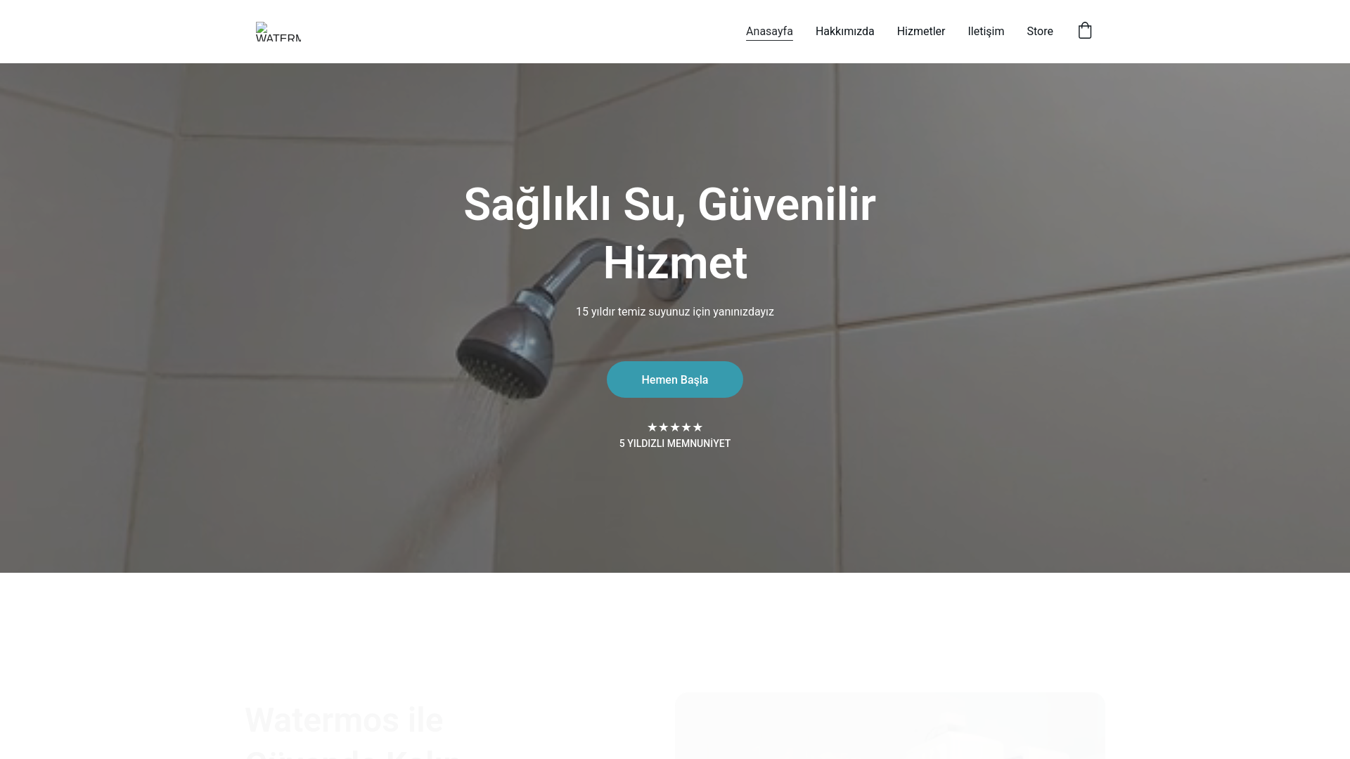 website screenshot of https://devasuaritma.net/