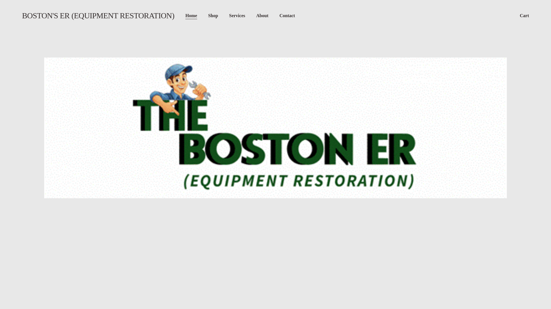 website screenshot of https://bostonser.com