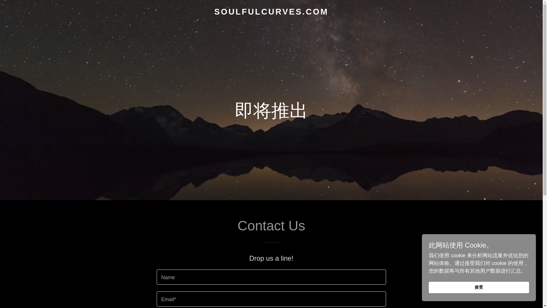 website screenshot of https://soulfulcurves.com/