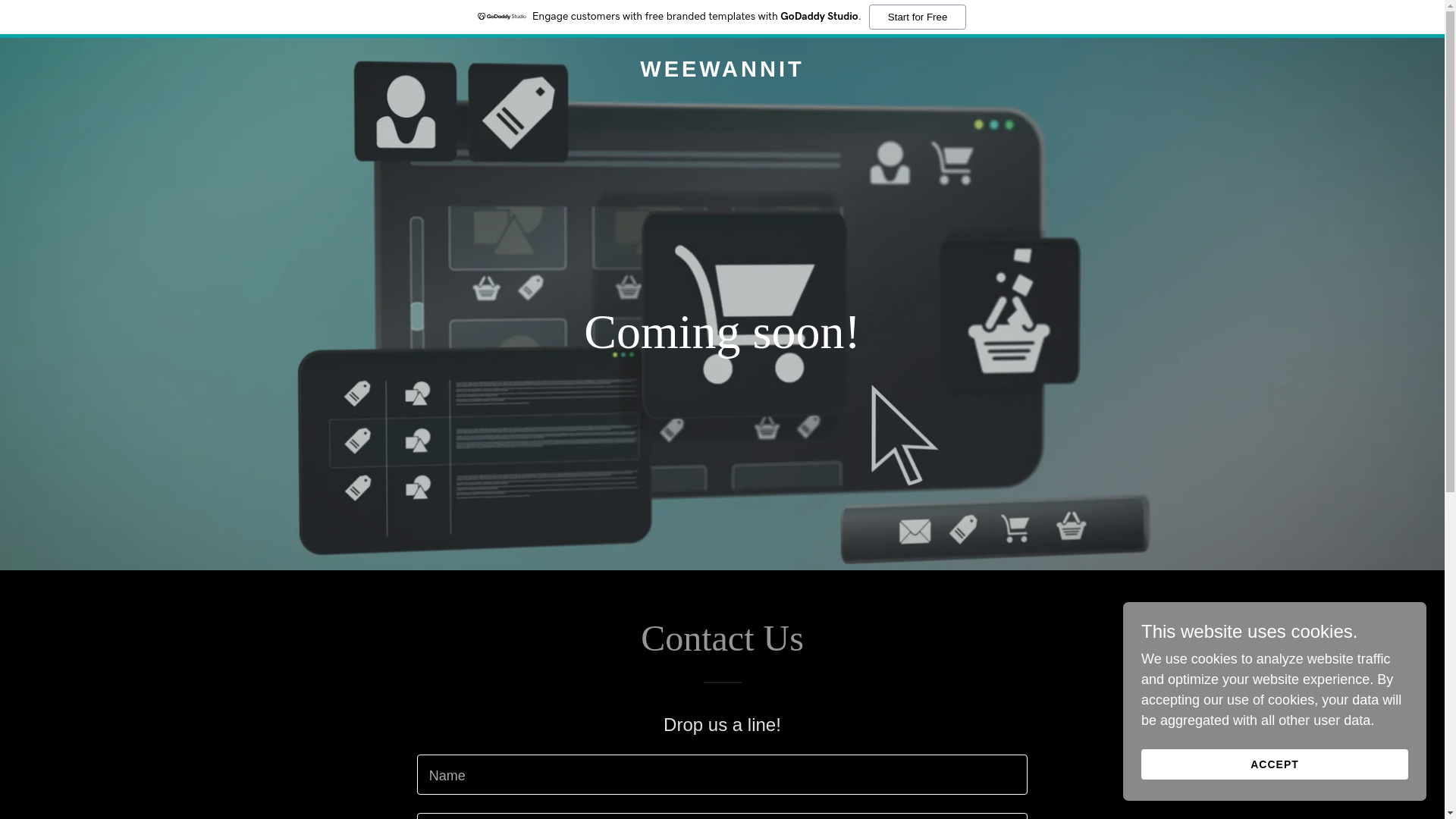 website screenshot of https://weewannit.com/