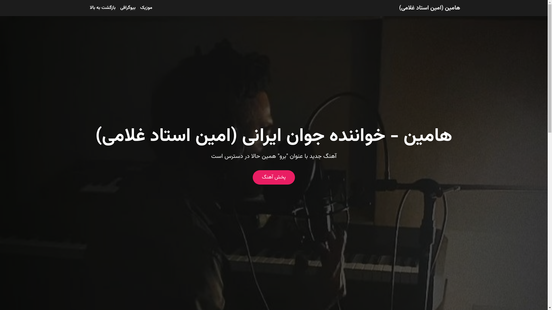 website screenshot of https://haminmusic.com/