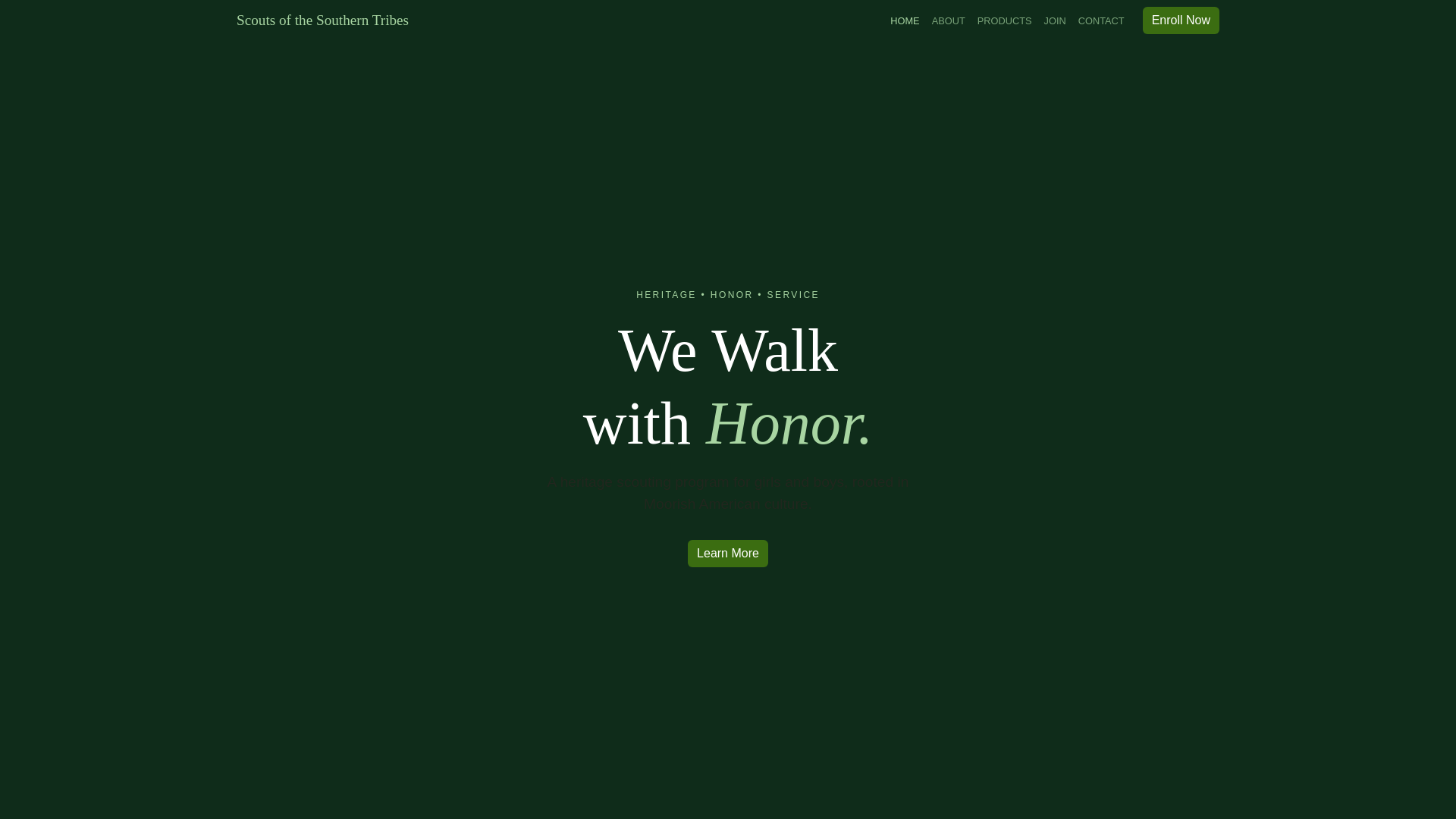 website screenshot of https://scoutsofturtleisland.com/