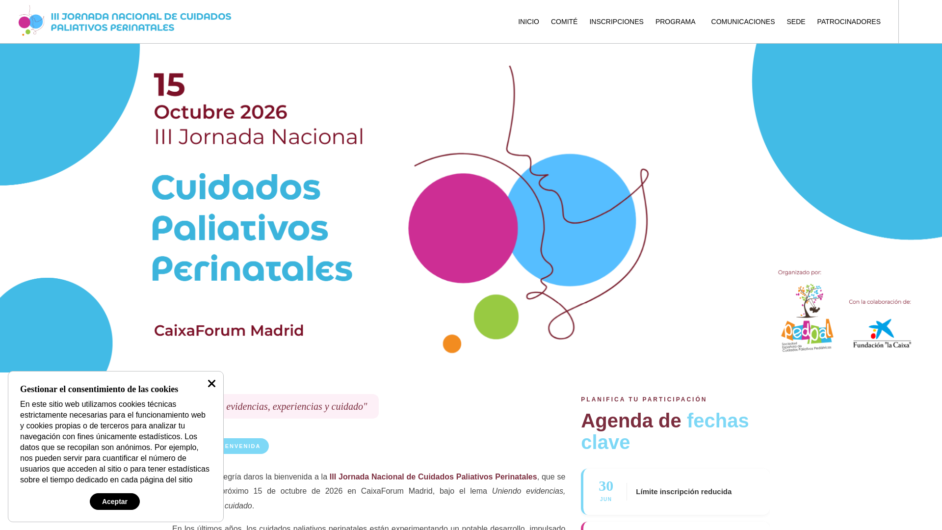 website screenshot of https://jornadanacionalcuidadospaliativosperinatales.com/