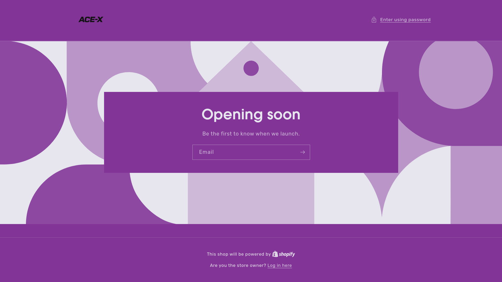 website screenshot of https://ace-xelectric.online/