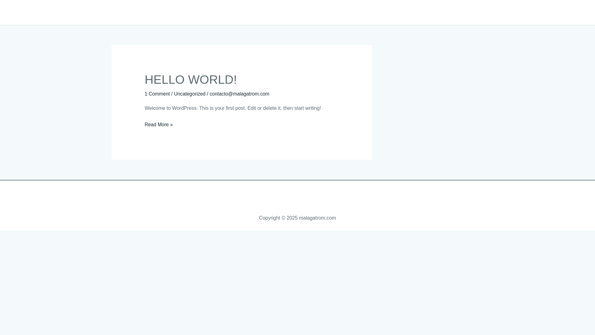 website screenshot of https://malagatrom.com/