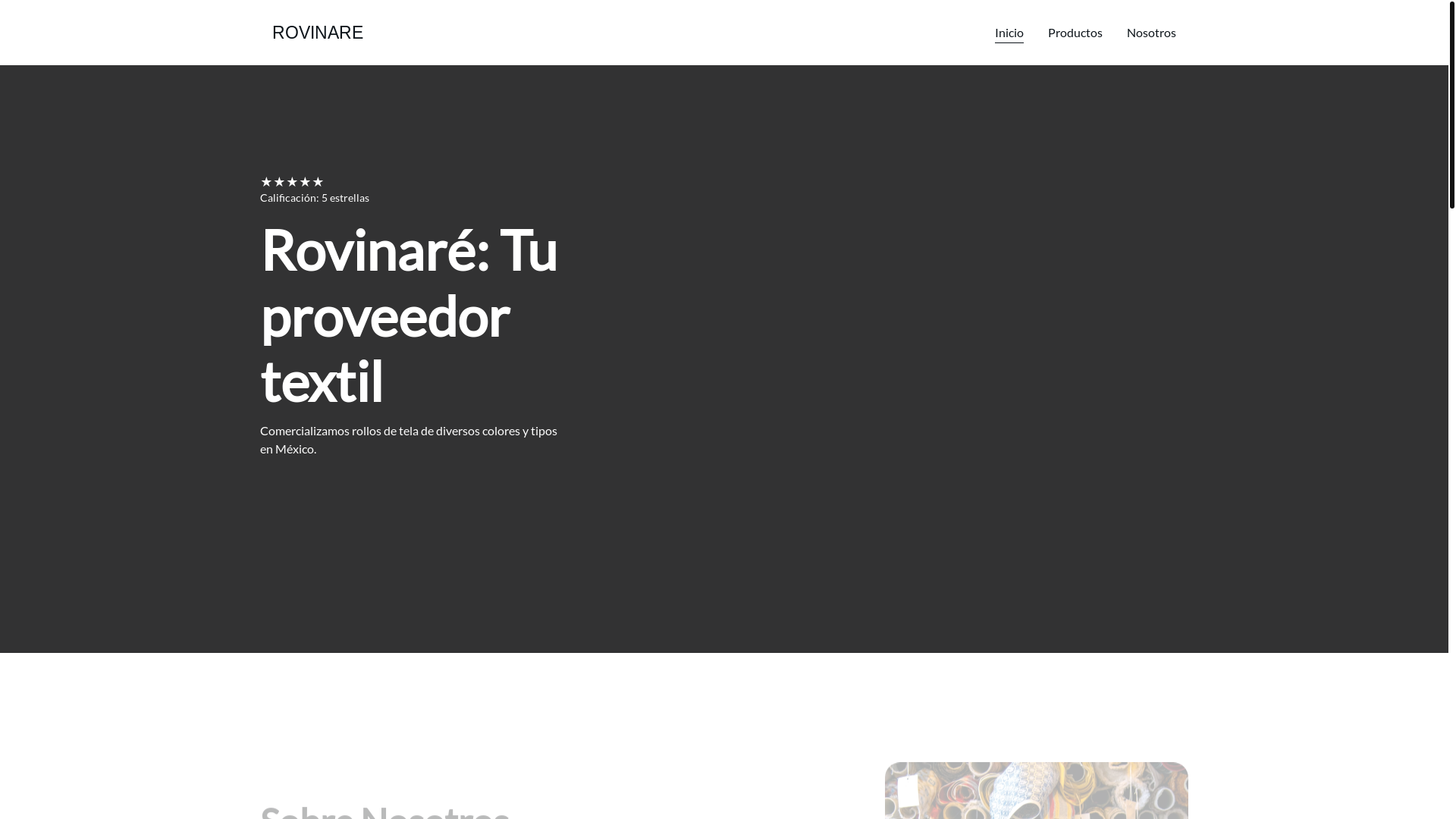 website screenshot of https://rovinare.com.mx/