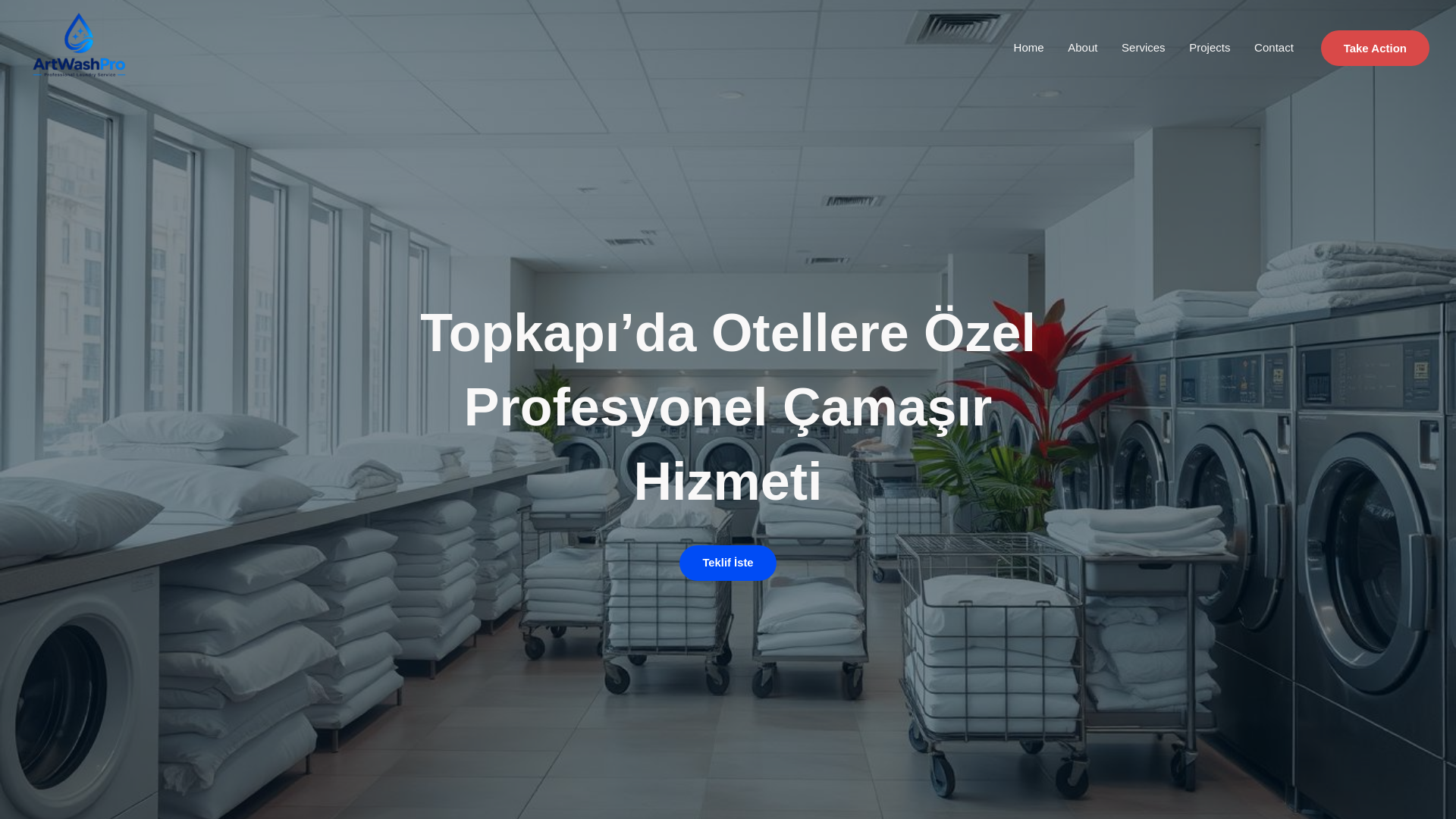 website screenshot of https://artwashpro.com/