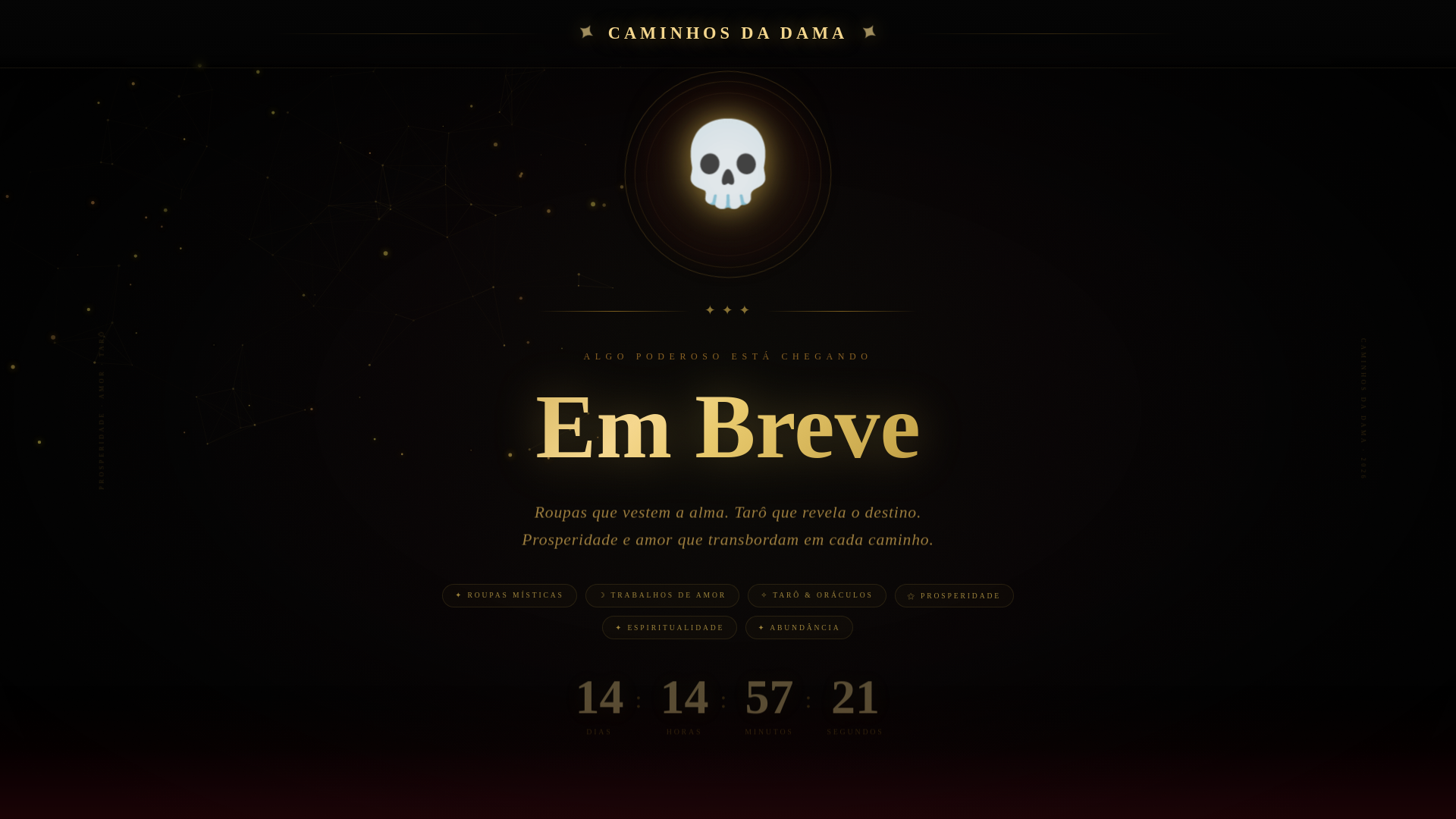 website screenshot of https://caminhosdadama.com.br/