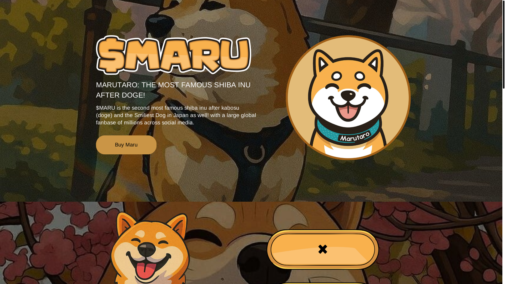 website screenshot of https://marutarobonk.xyz/