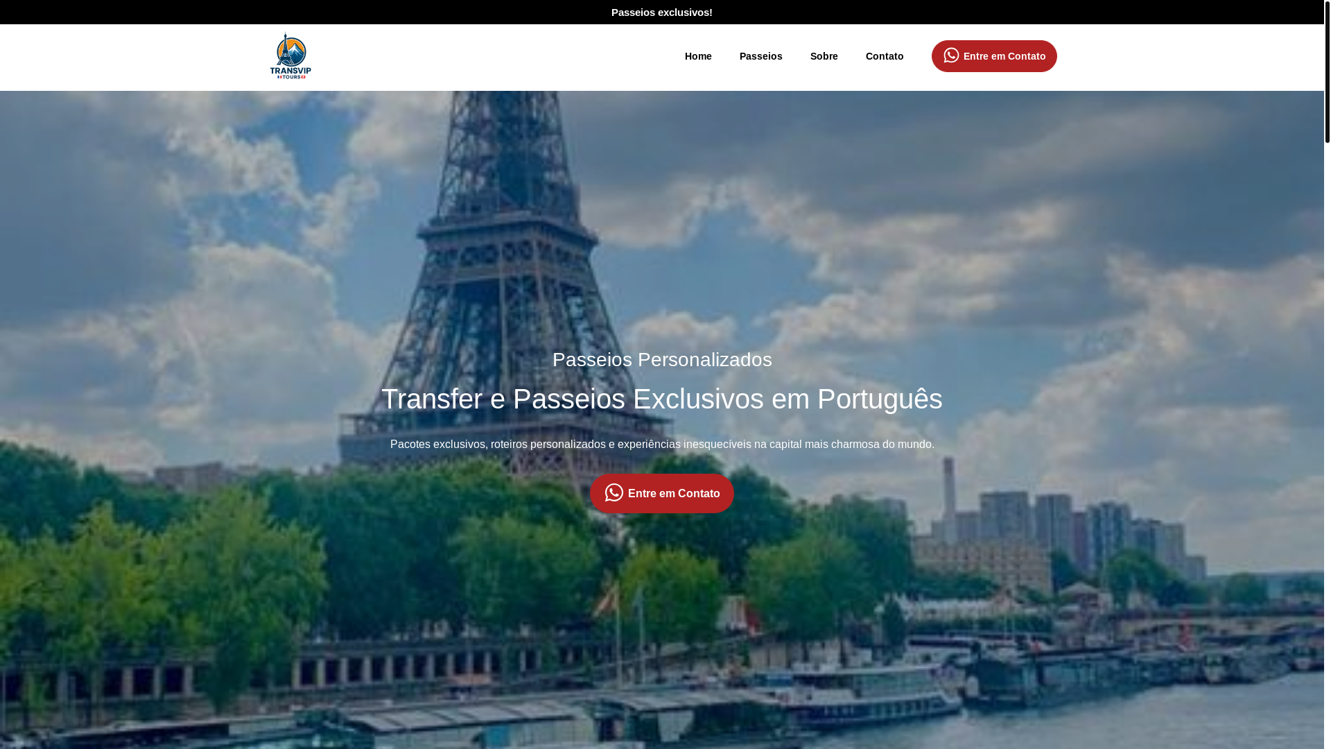 website screenshot of https://transviparis.com/