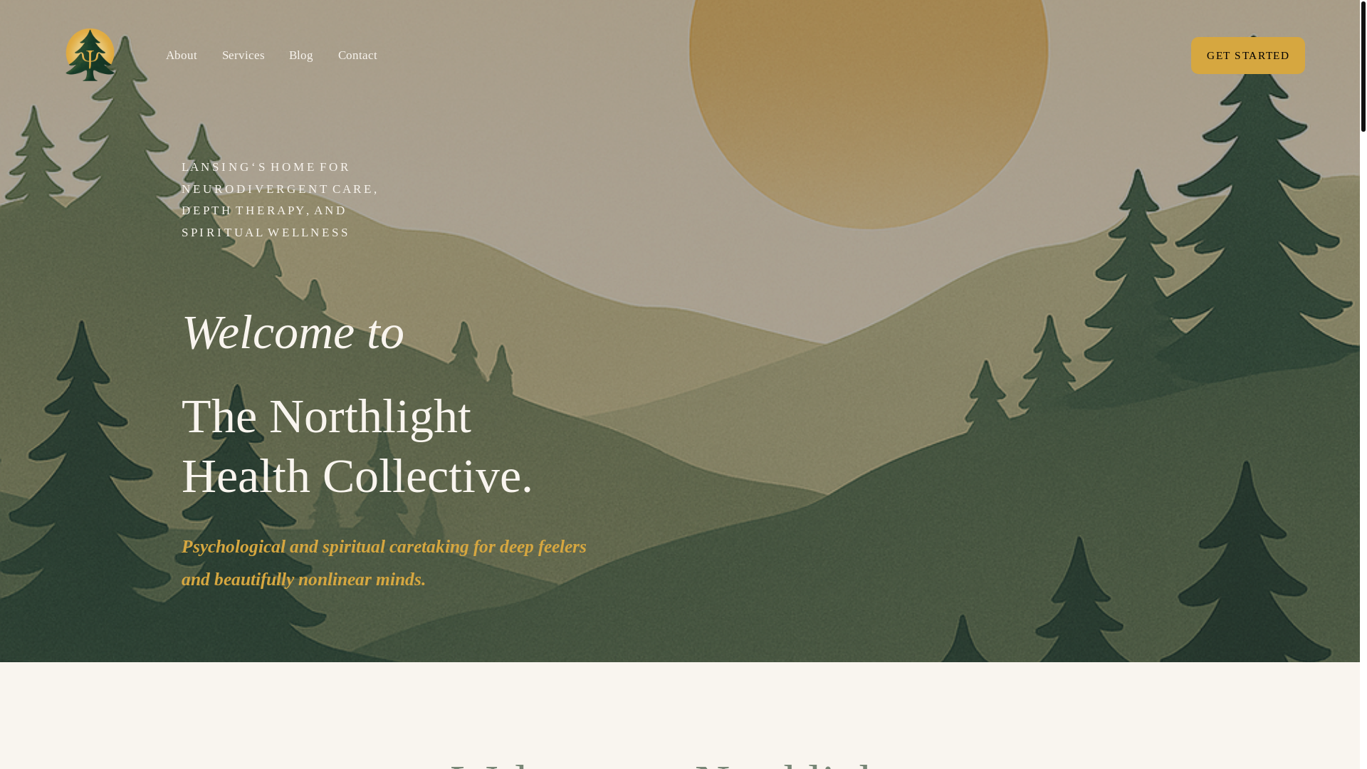 website screenshot of https://thenorthlightcollective.com/