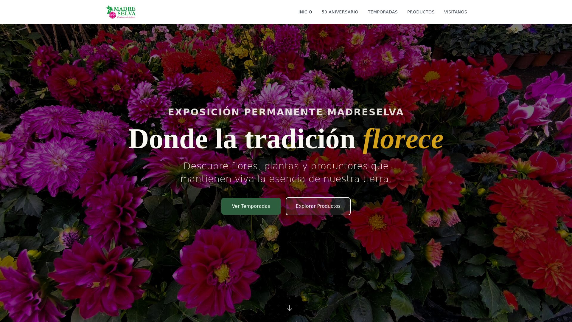 website screenshot of https://exposicion-madreselva.com