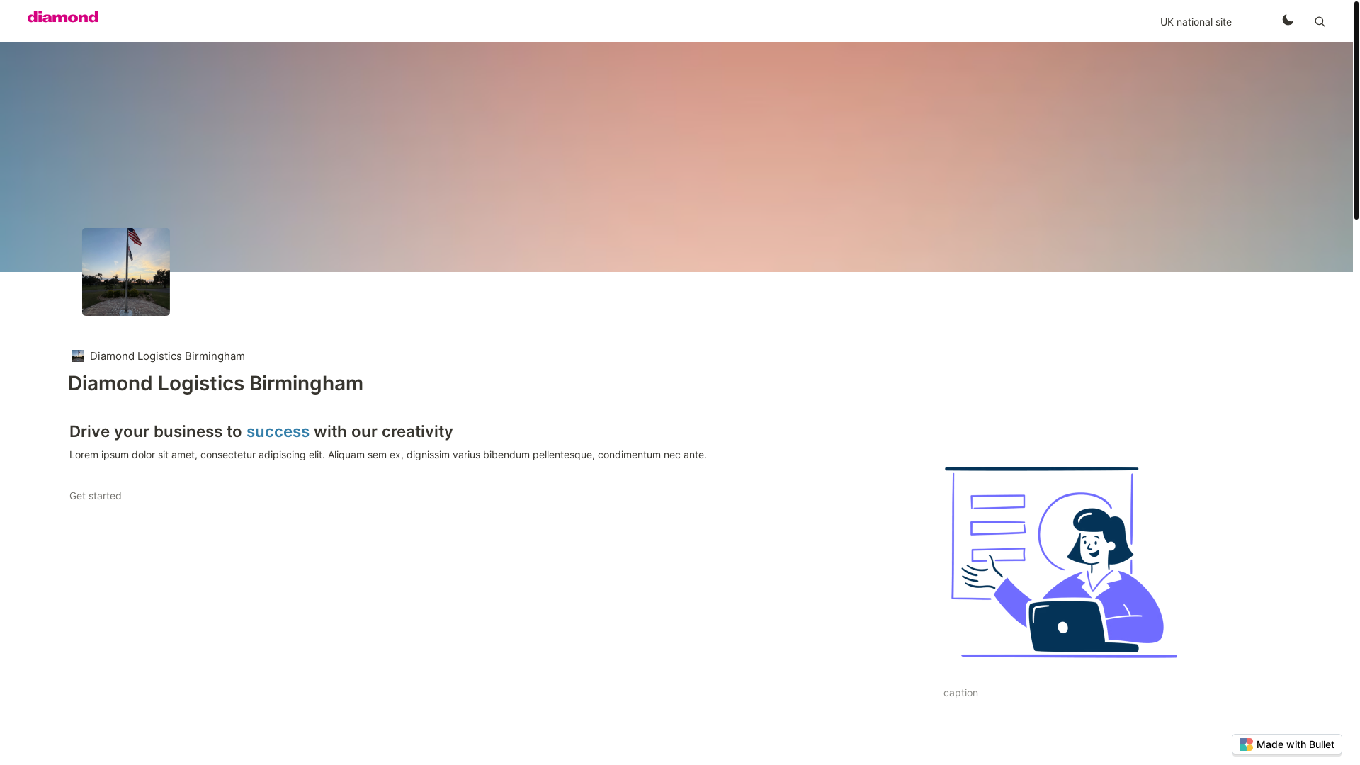 website screenshot of https://diamond-logisitcs-birmingham-bullet.pages.dev/