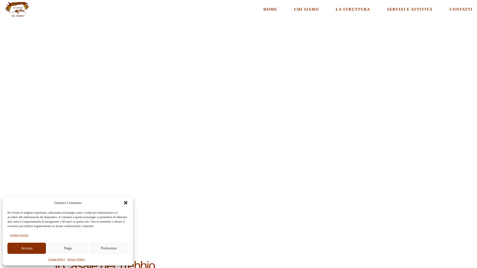 website screenshot of https://affittacamerecasaledeltrebbioperugia.it/