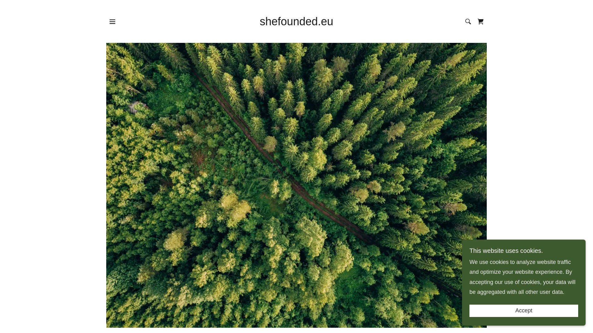 website screenshot of https://shefounded.eu/