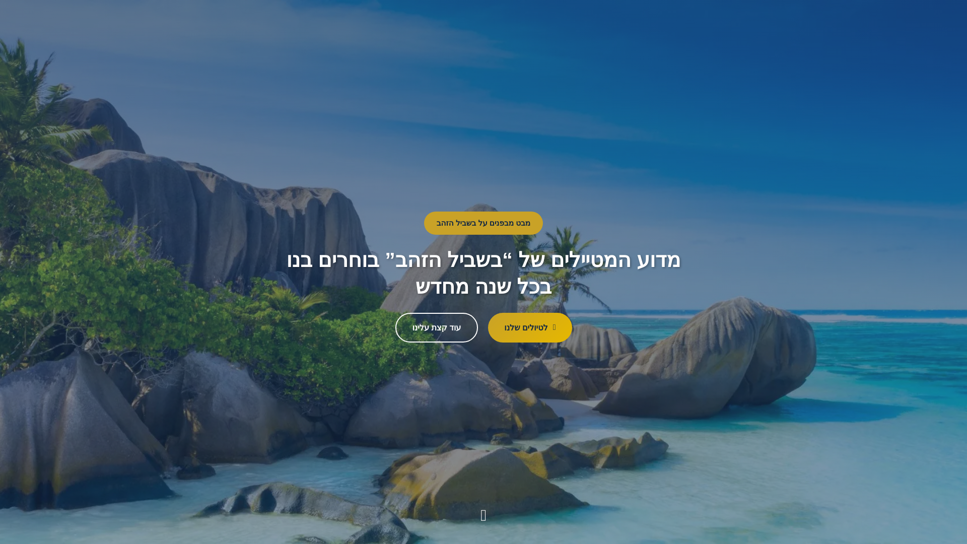 website screenshot of https://cruise-tour.co.il