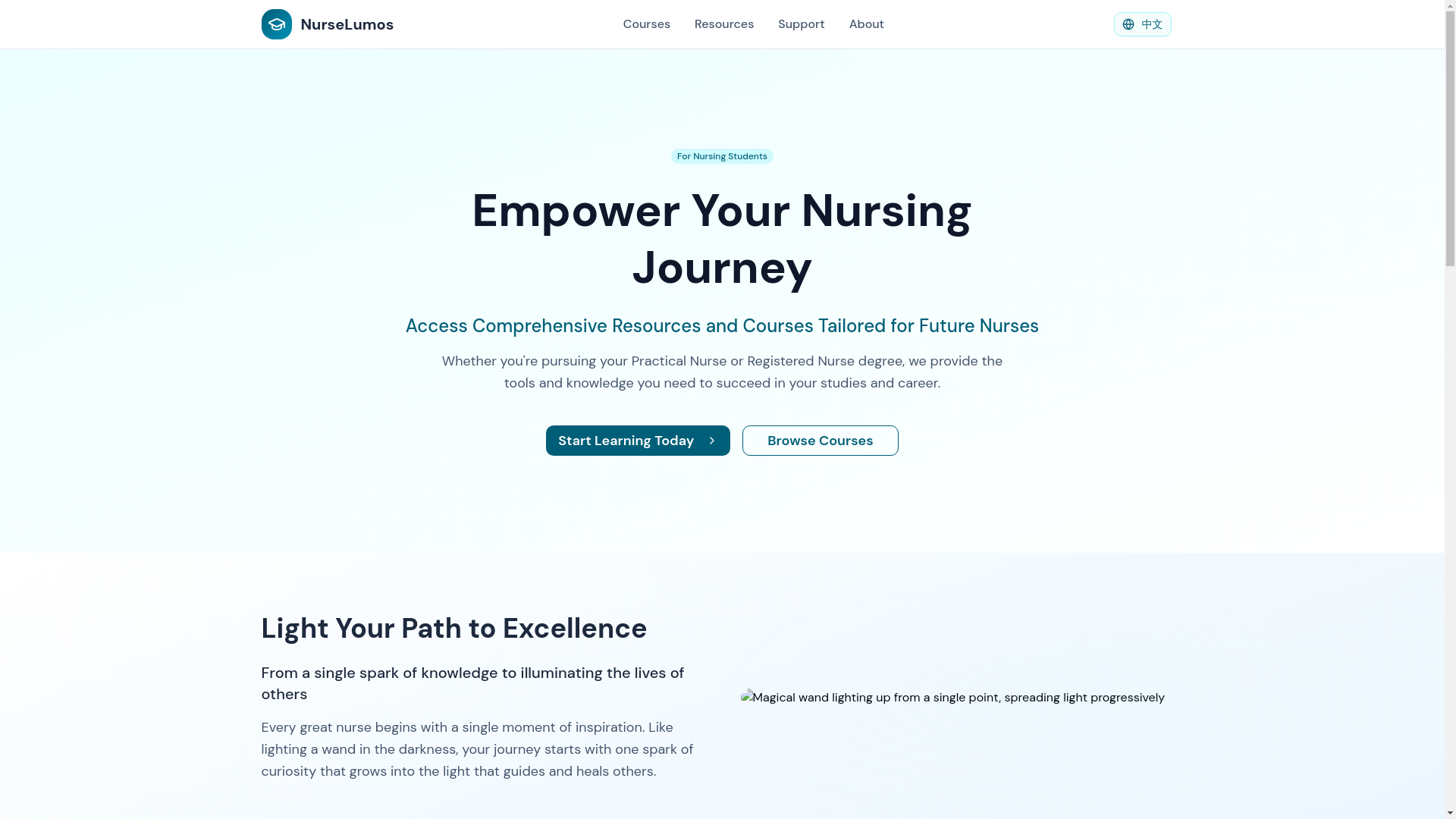 website screenshot of https://nurselumos.com/