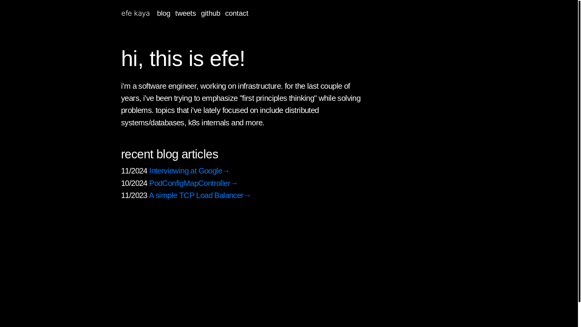 website screenshot of https://efekayaorgfrontend-aqt.pages.dev/