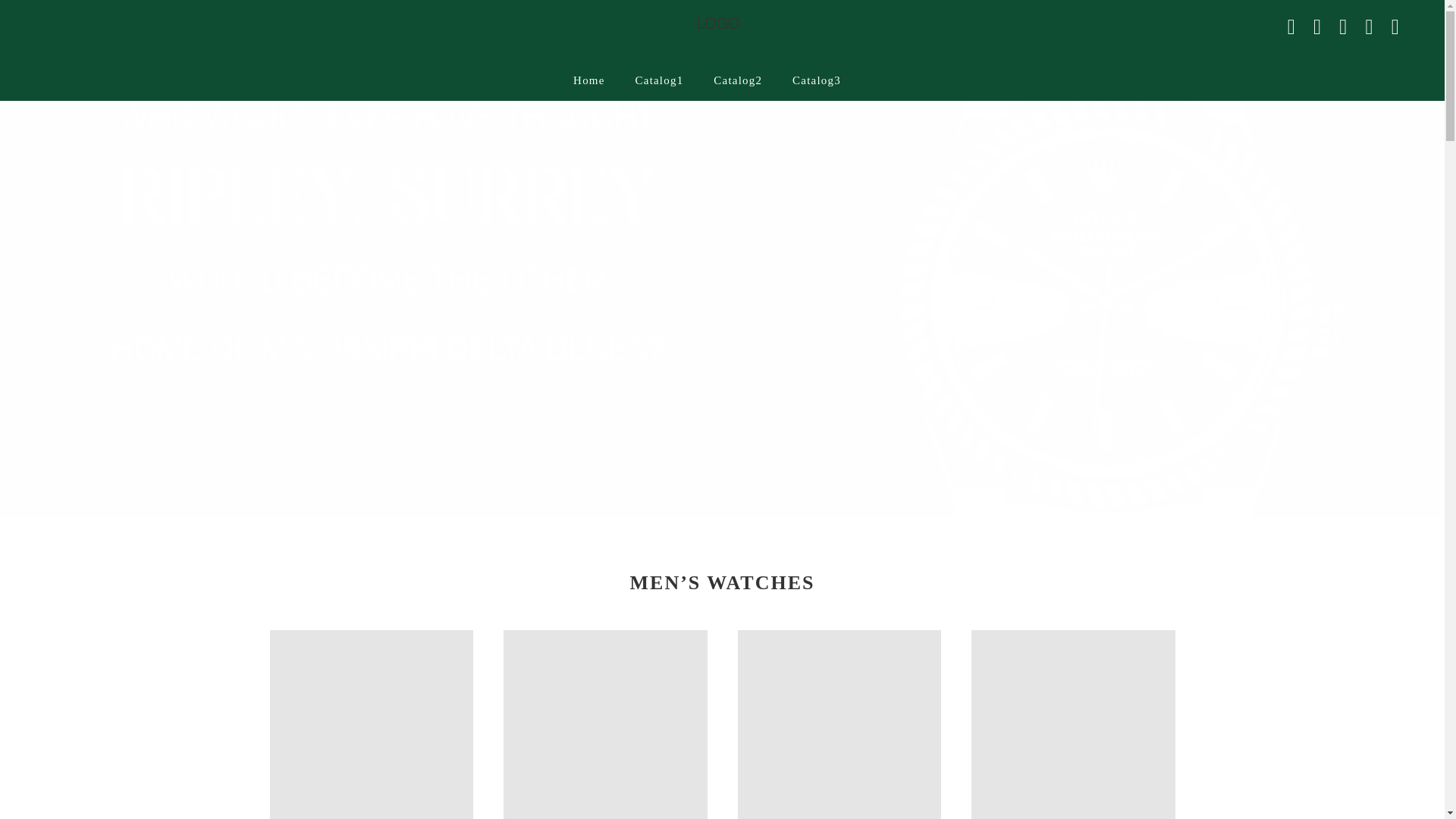 website screenshot of https://unitedbailuxwatch.com/