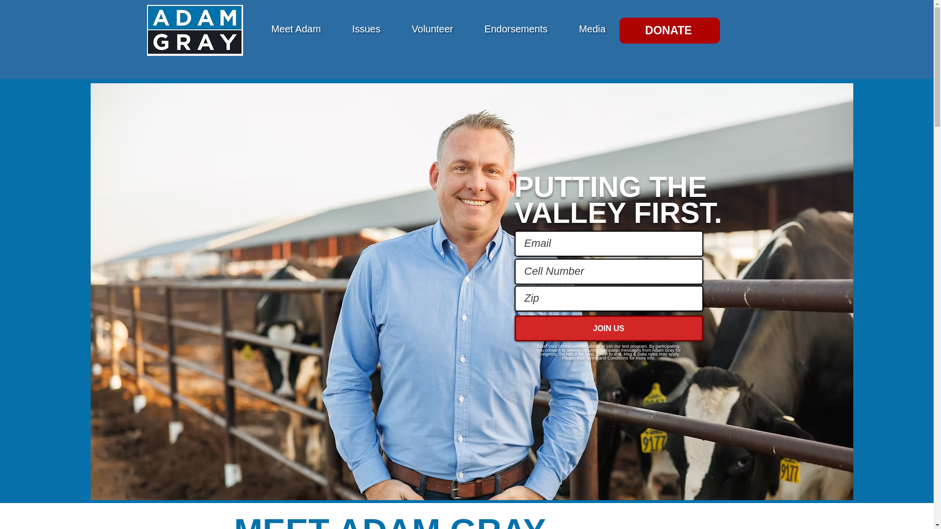 website screenshot of https://adamgray4congress.co/