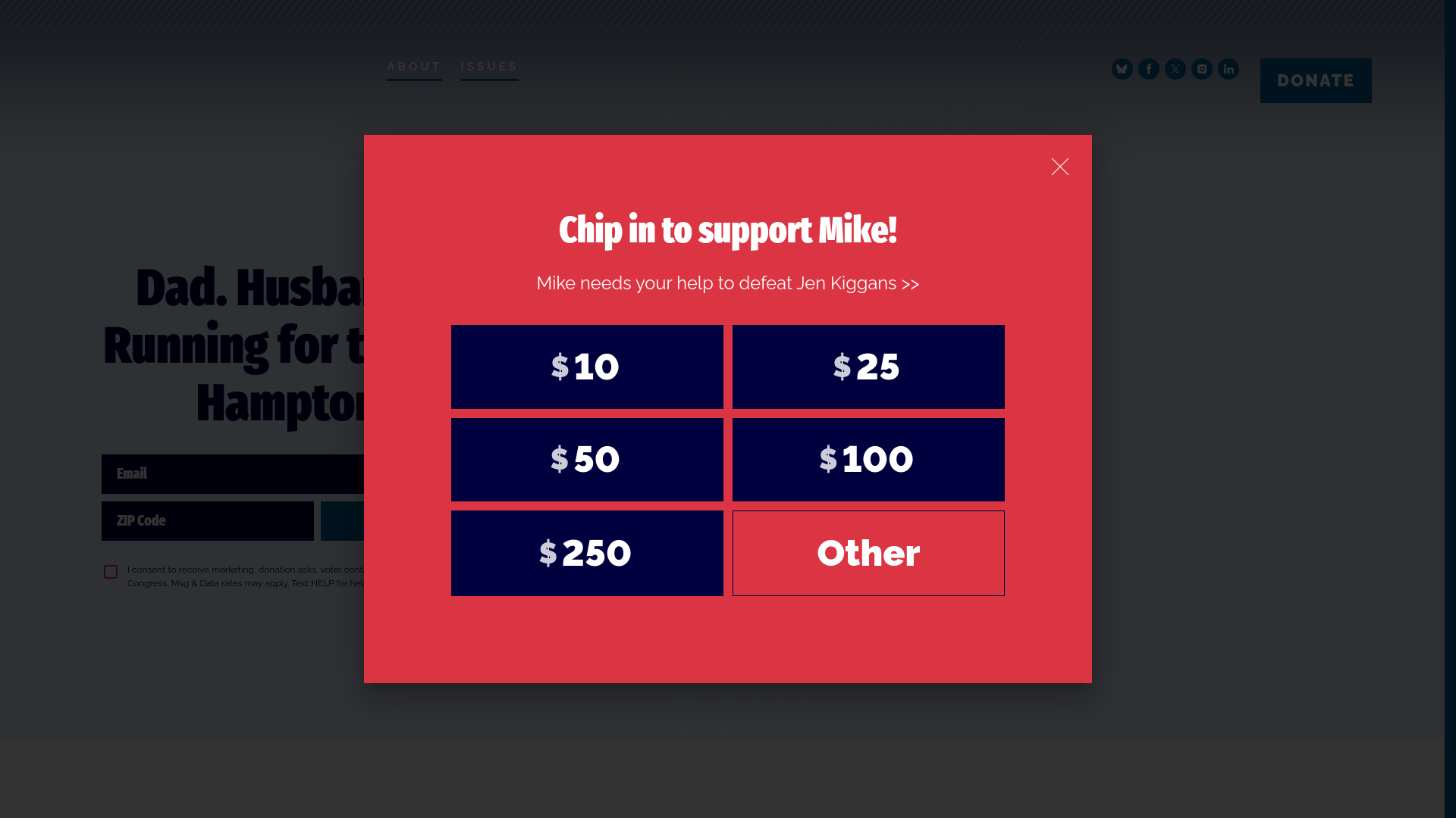 website screenshot of https://williamson4va.org/