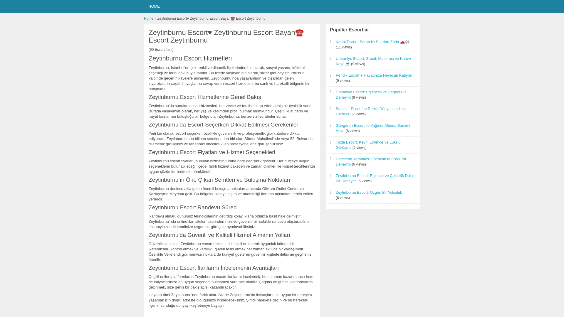 website screenshot of https://zeytinburnuescort1.website/