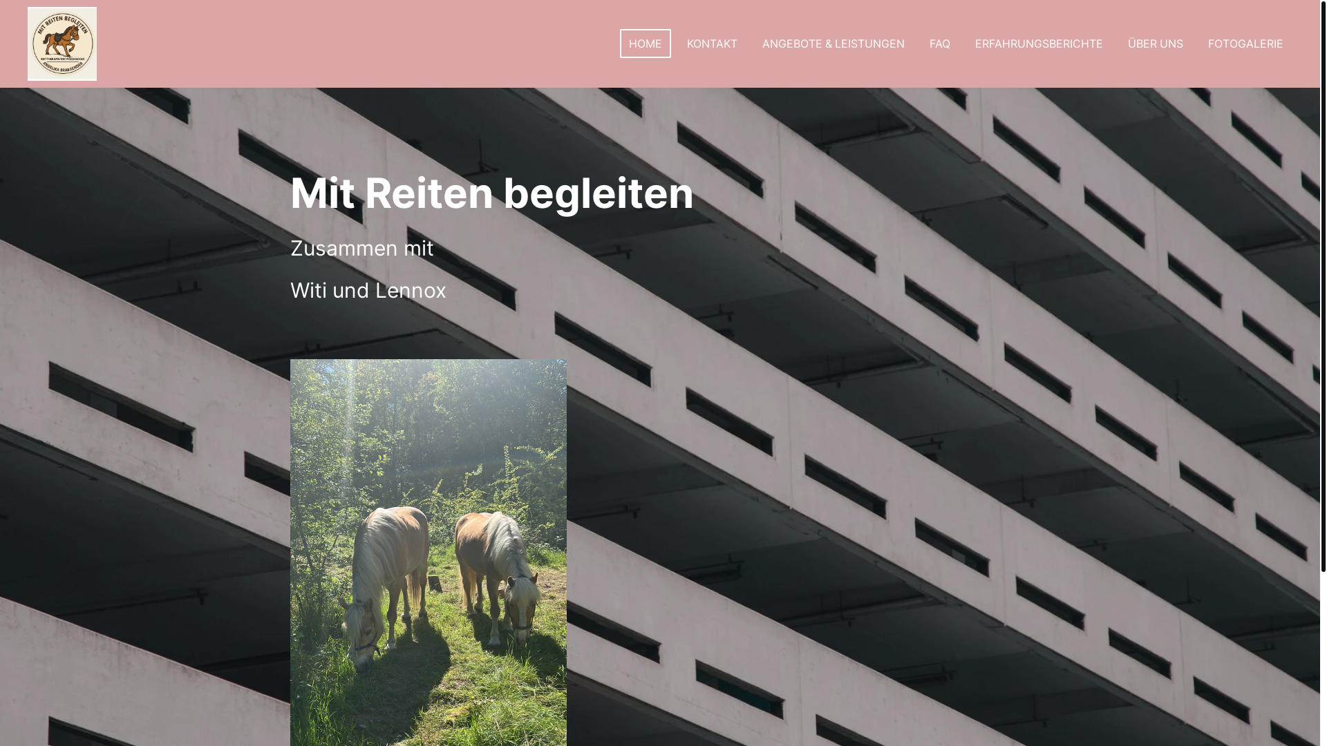 website screenshot of https://pferdehelfenuns.de/