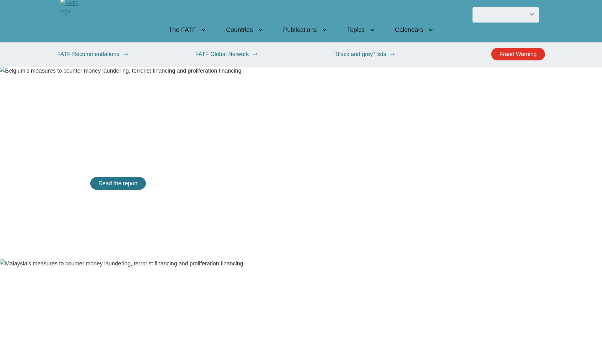 website screenshot of https://fatf-uif.org/
