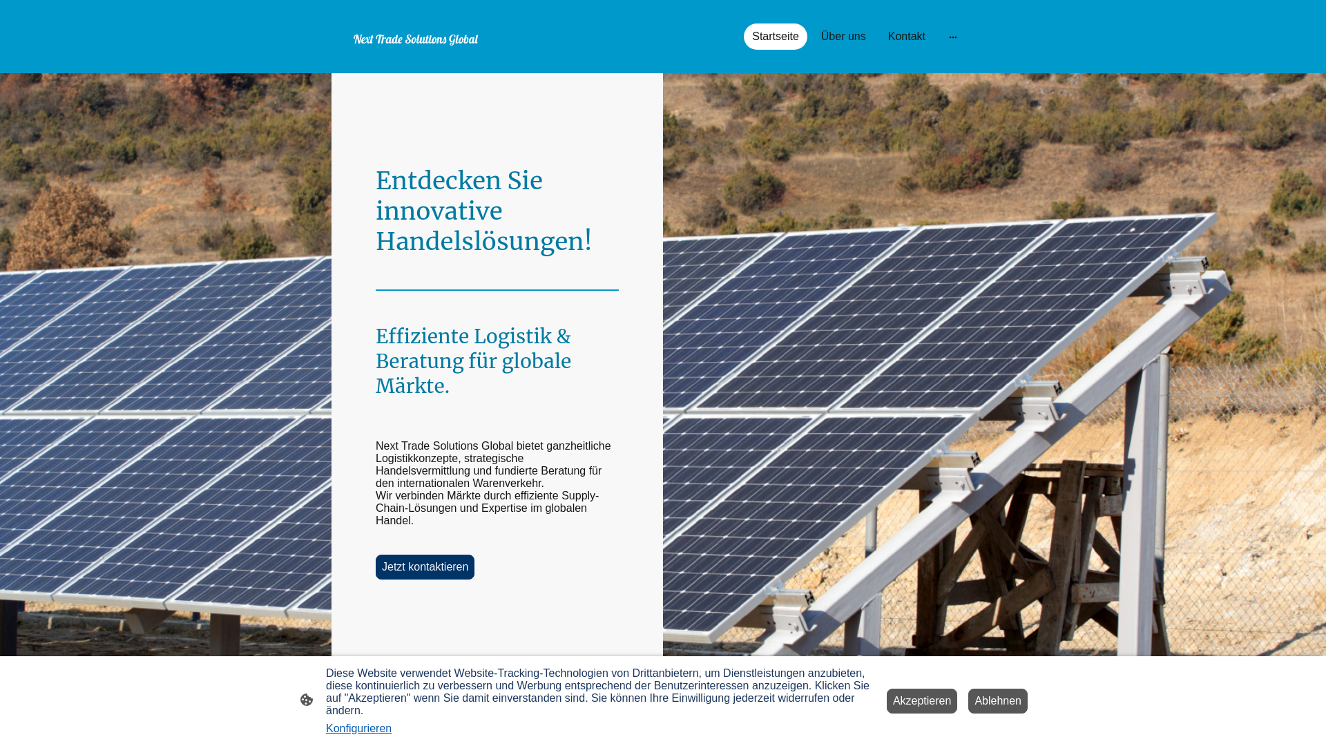 website screenshot of https://nexttrade-global.com